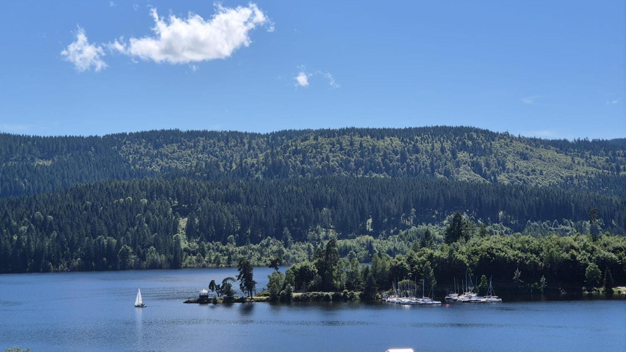 Chalet Schluchsee Ferienwohnung Eksteriør billede