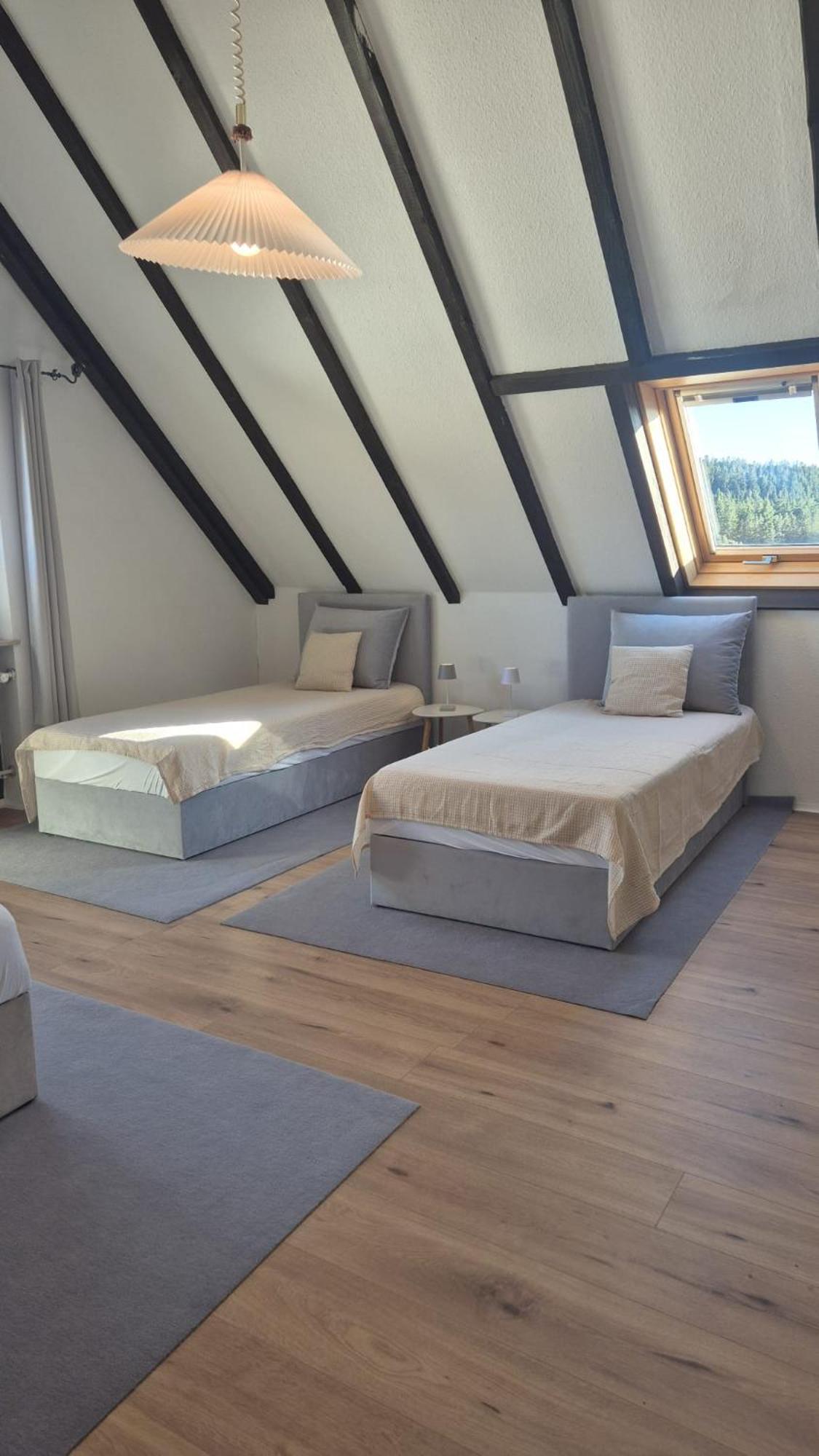Chalet Schluchsee Ferienwohnung Eksteriør billede